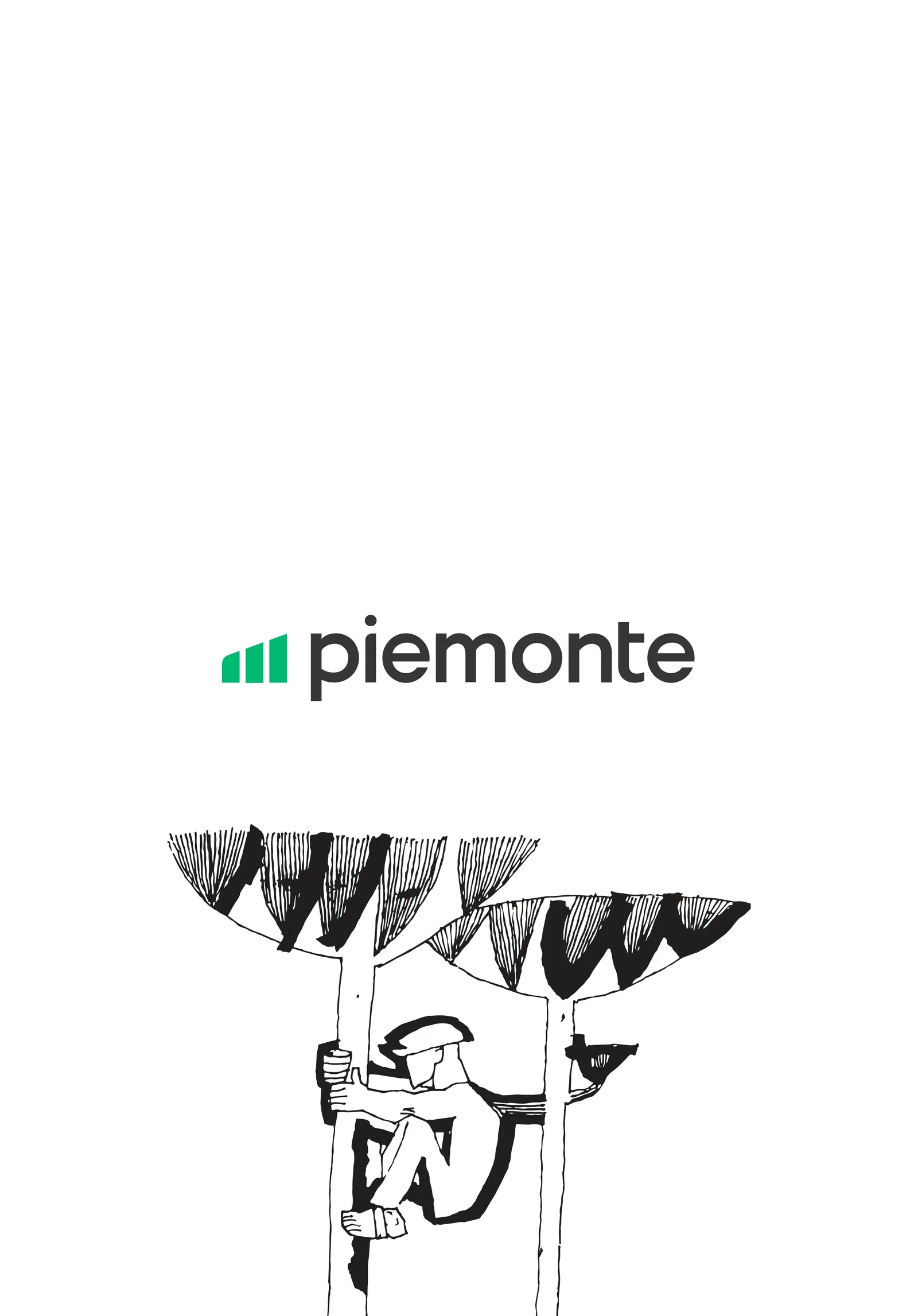 Convenção Piemonte Poty, imagem 3