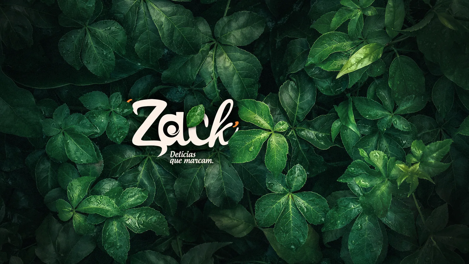 Zack Delícias, imagem 1